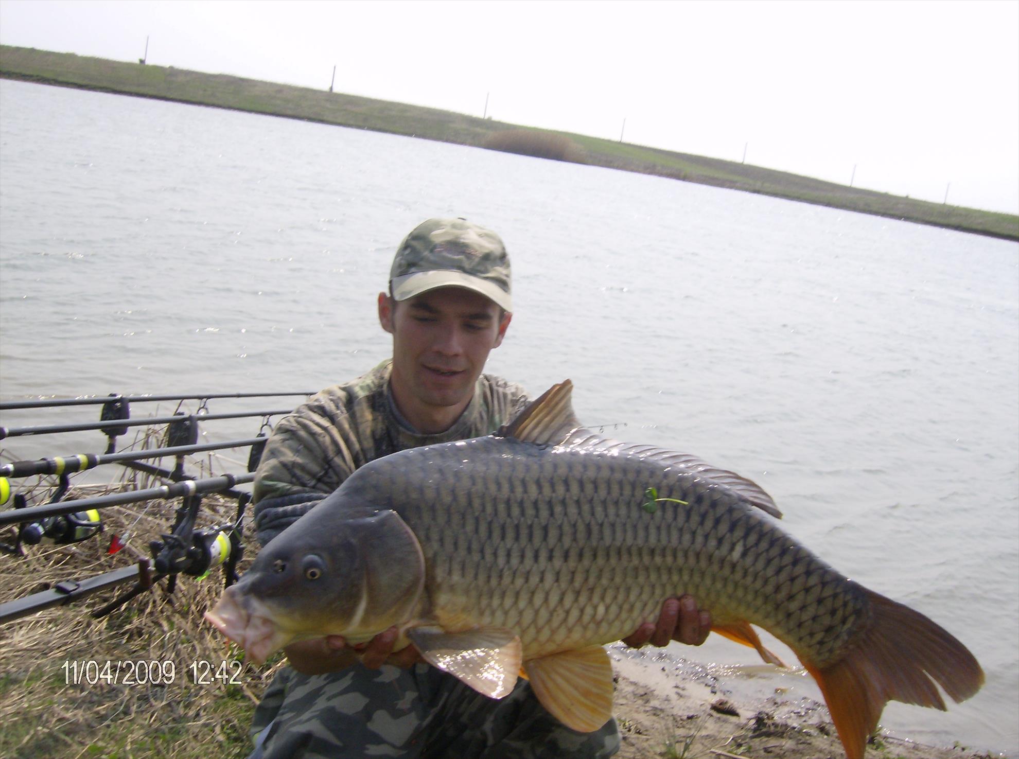 hobaia 2009 - hpim3644.JPG